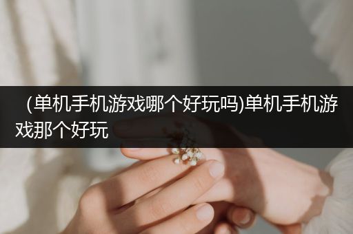 （单机手机游戏哪个好玩吗)单机手机游戏那个好玩