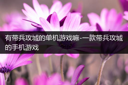 有带兵攻城的单机游戏嘛-一款带兵攻城的手机游戏