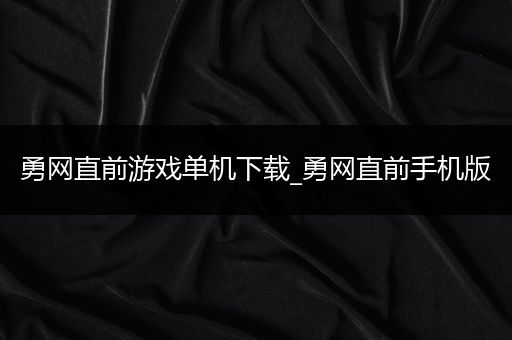 勇网直前游戏单机下载_勇网直前手机版