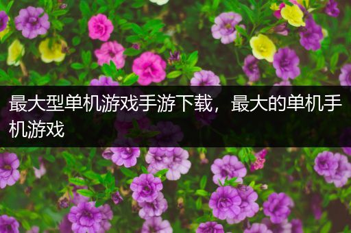 最大型单机游戏手游下载，最大的单机手机游戏