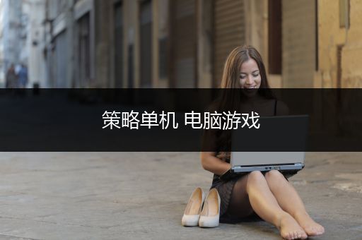 策略单机 电脑游戏