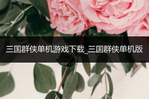 三国群侠单机游戏下载_三国群侠单机版