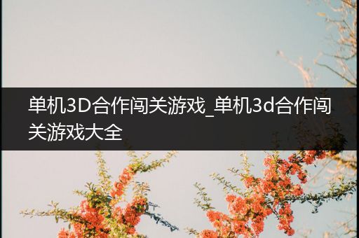 单机3D合作闯关游戏_单机3d合作闯关游戏大全
