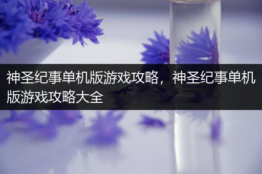 神圣纪事单机版游戏攻略，神圣纪事单机版游戏攻略大全