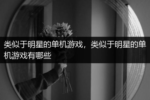类似于明星的单机游戏，类似于明星的单机游戏有哪些