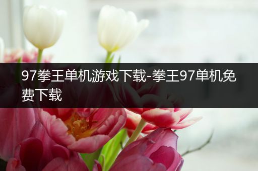 97拳王单机游戏下载-拳王97单机免费下载