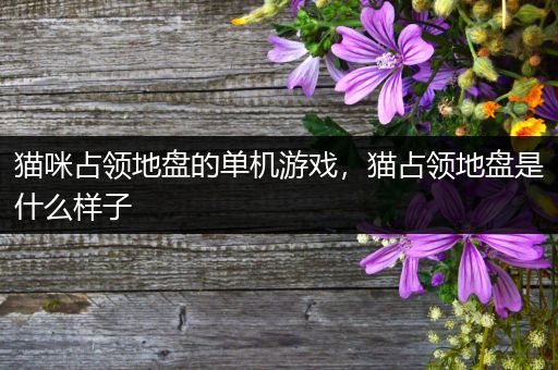 猫咪占领地盘的单机游戏，猫占领地盘是什么样子