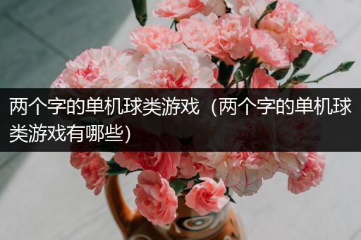两个字的单机球类游戏（两个字的单机球类游戏有哪些）
