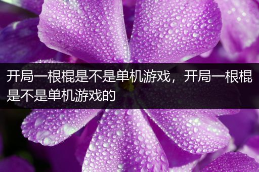 开局一根棍是不是单机游戏，开局一根棍是不是单机游戏的
