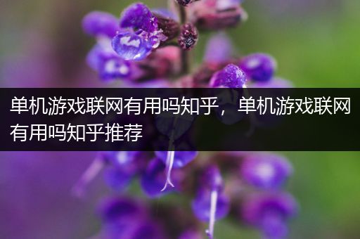 单机游戏联网有用吗知乎，单机游戏联网有用吗知乎推荐