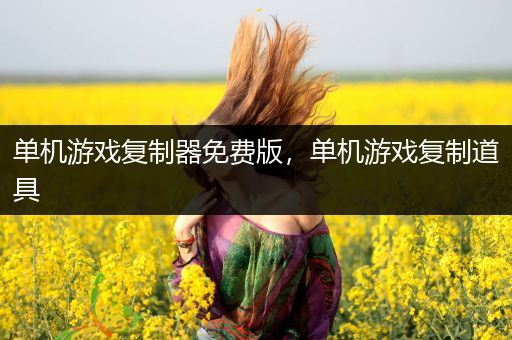 单机游戏复制器免费版，单机游戏复制道具