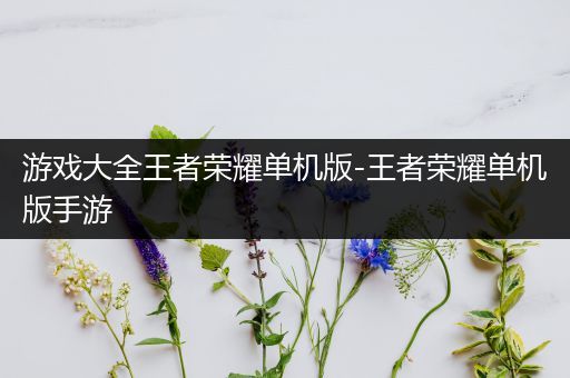 游戏大全王者荣耀单机版-王者荣耀单机版手游