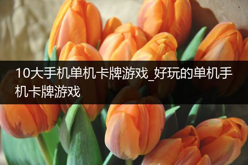 10大手机单机卡牌游戏_好玩的单机手机卡牌游戏