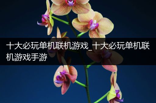 十大必玩单机联机游戏_十大必玩单机联机游戏手游