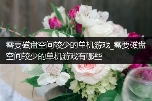 需要磁盘空间较少的单机游戏_需要磁盘空间较少的单机游戏有哪些