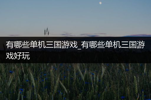 有哪些单机三国游戏_有哪些单机三国游戏好玩