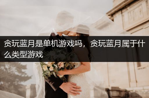 贪玩蓝月是单机游戏吗，贪玩蓝月属于什么类型游戏