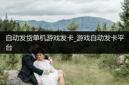 自动发货单机游戏发卡_游戏自动发卡平台