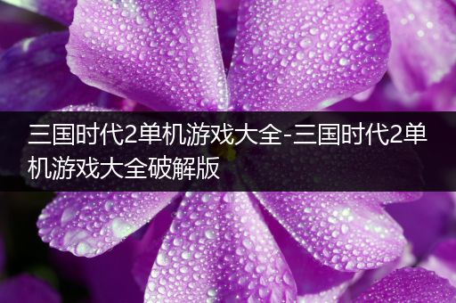 三国时代2单机游戏大全-三国时代2单机游戏大全破解版