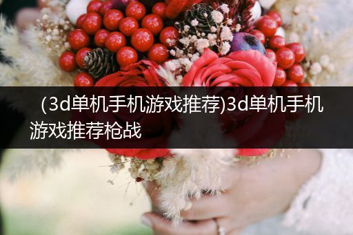 （3d单机手机游戏推荐)3d单机手机游戏推荐枪战