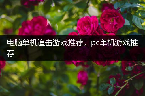 电脑单机追击游戏推荐，pc单机游戏推荐
