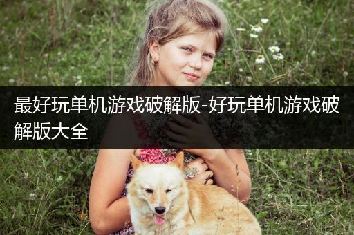 最好玩单机游戏破解版-好玩单机游戏破解版大全