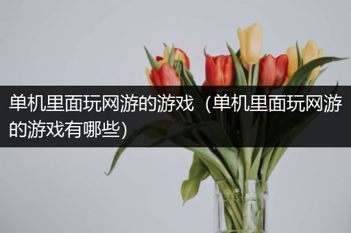 单机里面玩网游的游戏（单机里面玩网游的游戏有哪些）