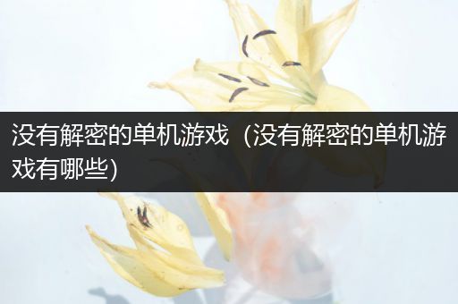 没有解密的单机游戏（没有解密的单机游戏有哪些）