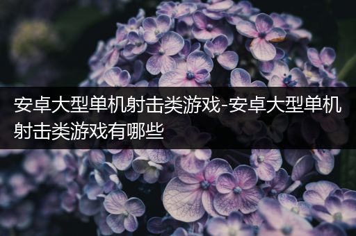 安卓大型单机射击类游戏-安卓大型单机射击类游戏有哪些