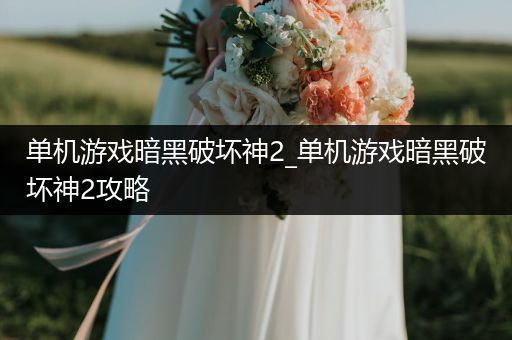 单机游戏暗黑破坏神2_单机游戏暗黑破坏神2攻略