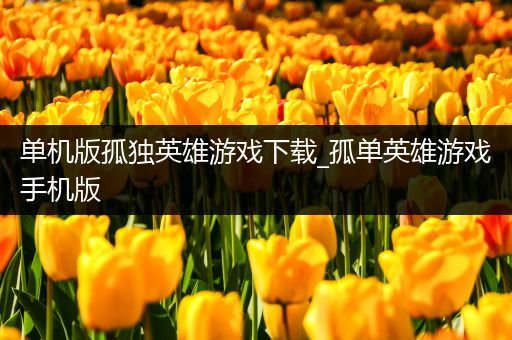 单机版孤独英雄游戏下载_孤单英雄游戏手机版