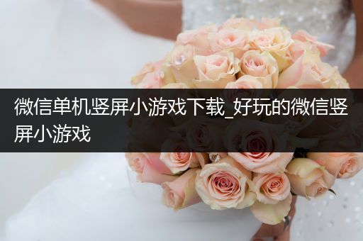微信单机竖屏小游戏下载_好玩的微信竖屏小游戏