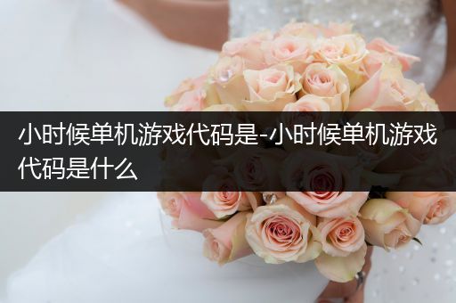 小时候单机游戏代码是-小时候单机游戏代码是什么