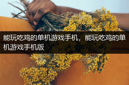 能玩吃鸡的单机游戏手机，能玩吃鸡的单机游戏手机版