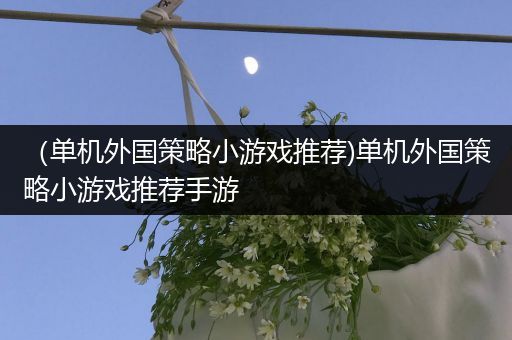 （单机外国策略小游戏推荐)单机外国策略小游戏推荐手游