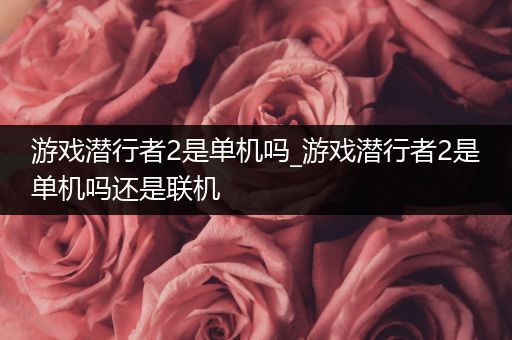 游戏潜行者2是单机吗_游戏潜行者2是单机吗还是联机