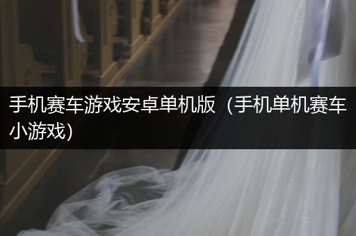 手机赛车游戏安卓单机版（手机单机赛车小游戏）