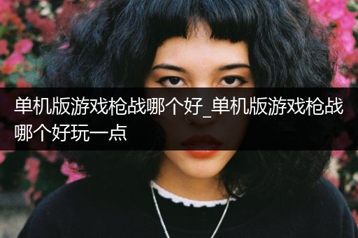 单机版游戏枪战哪个好_单机版游戏枪战哪个好玩一点