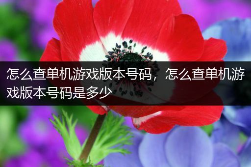 怎么查单机游戏版本号码，怎么查单机游戏版本号码是多少