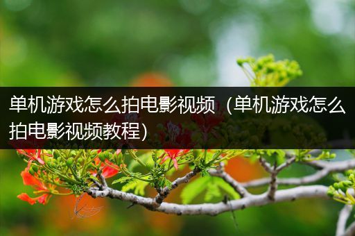 单机游戏怎么拍电影视频（单机游戏怎么拍电影视频教程）