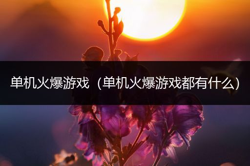 单机火爆游戏（单机火爆游戏都有什么）