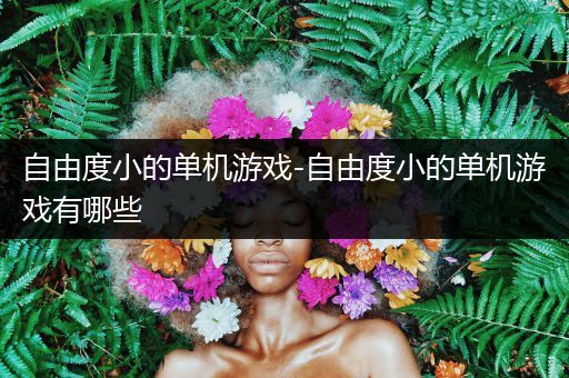自由度小的单机游戏-自由度小的单机游戏有哪些