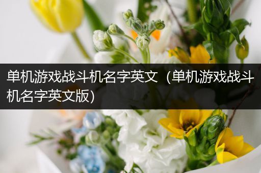 单机游戏战斗机名字英文（单机游戏战斗机名字英文版）
