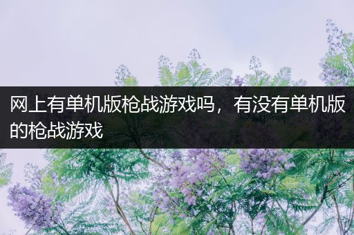网上有单机版枪战游戏吗，有没有单机版的枪战游戏