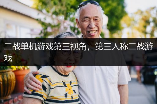 二战单机游戏第三视角，第三人称二战游戏