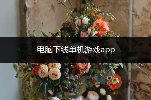 电脑下线单机游戏app