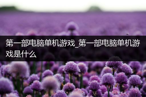 第一部电脑单机游戏_第一部电脑单机游戏是什么