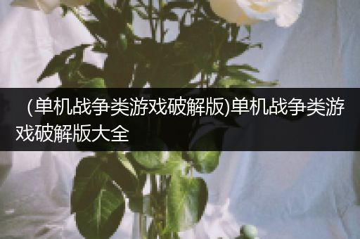 （单机战争类游戏破解版)单机战争类游戏破解版大全