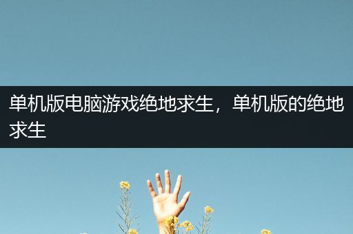 单机版电脑游戏绝地求生，单机版的绝地求生