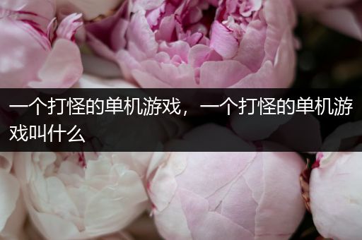 一个打怪的单机游戏，一个打怪的单机游戏叫什么